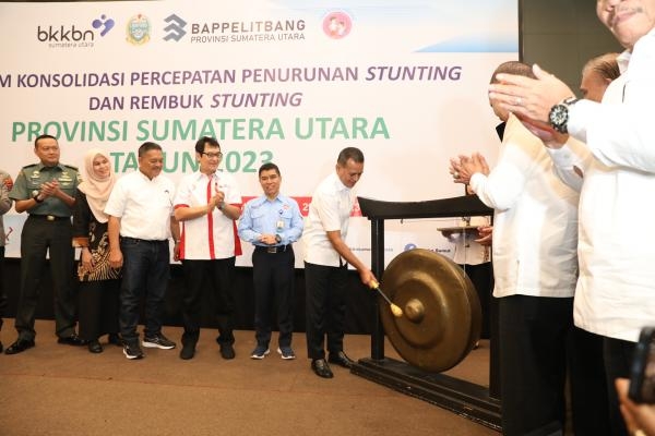 Target Penurunan Stunting 18%, Ijeck Minta Komitmen Kabupaten/Kota