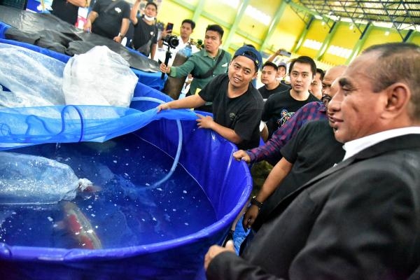 Dorong Budidaya dan Bisnis Ikan Koi, Edy Rahmayadi Buka dan Ikut Ramaikan Koi Show Sumut 2022