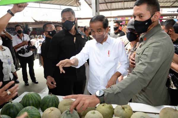Edy Rahmayadi Dampingi Jokowi Bagikan Bantuan Modal di Pasar Kebun Lada Binjai